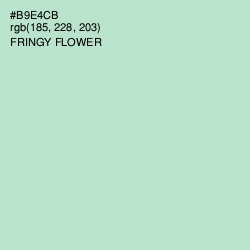 #B9E4CB - Fringy Flower Color Image